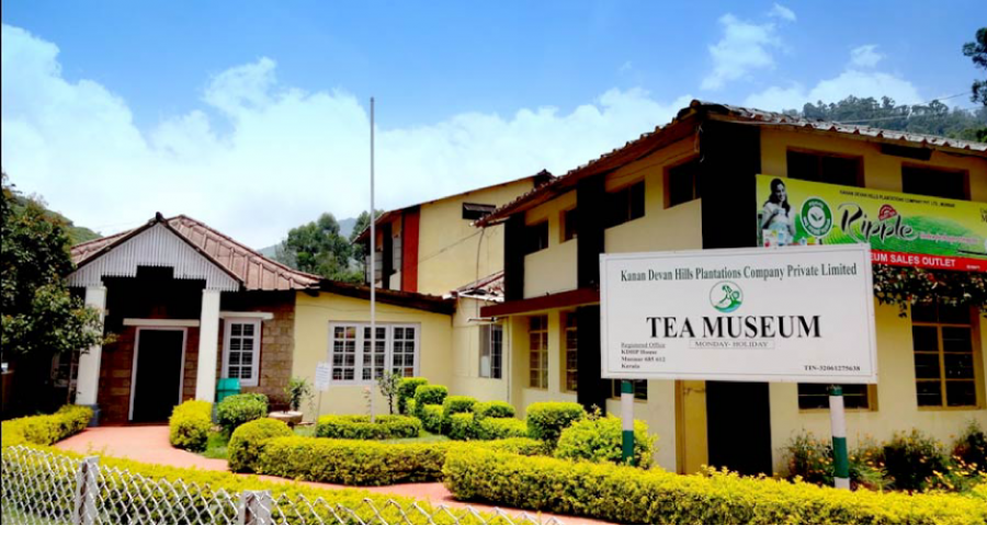 Tea Factory